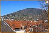 Blick Philosophenweg - 4 Zimmer Etagenwohnung in Heidelberg