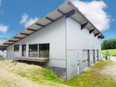 Büro/Ausstellungsfläche - 