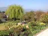 Blick in den Garten - 