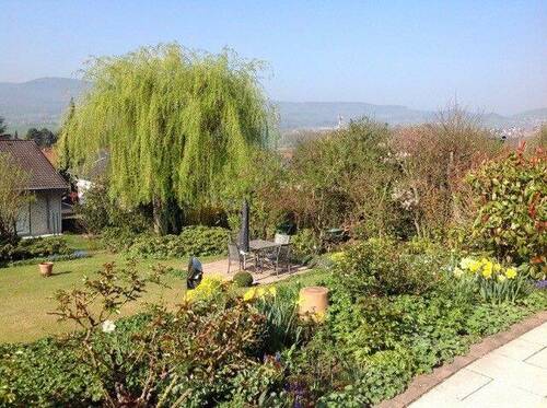 Blick in den Garten - 