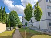 Grundstück hinten - 