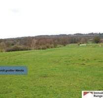 15.000m² großer Resthof mit Weide, Stallungen und Scheune im Auetal (Nähe Hannover)
