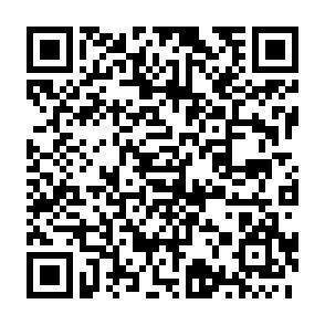 QR-Code - 