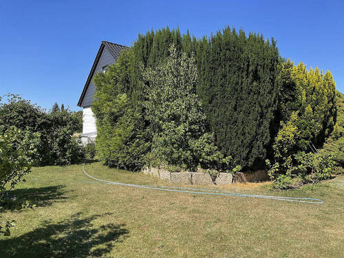 Gartengrundstück - Einfamilienhaus mit 120,00 m² in Minden zum Kaufen