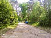 Waldweg - 