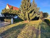 IMG_2524.jpeg - 