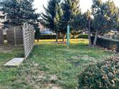 IMG_2529.jpeg - 