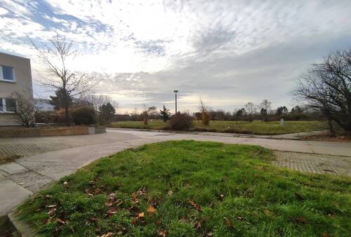 IMG_20211118_095910 - 