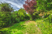 Garten - 