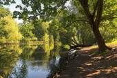 Volkspark - 
