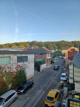 Blick zum Kottenforst - 