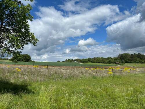 Natur Pur - Felder und Wiesen - Grundstück in Heimsheim