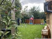 Blick in den Garten - 