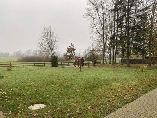 Wiese hinter der Carportanlage - 