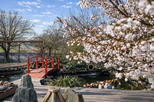 Brücke über den Koi-Teich - 
