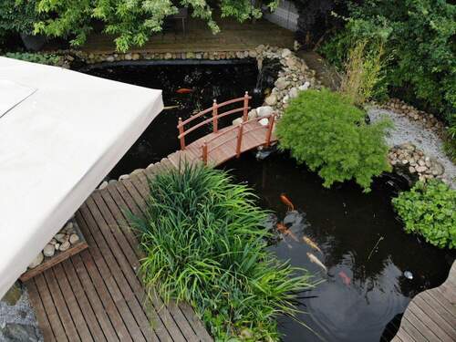 Koi-Teich - 