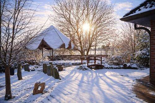 Garten im Winter - 
