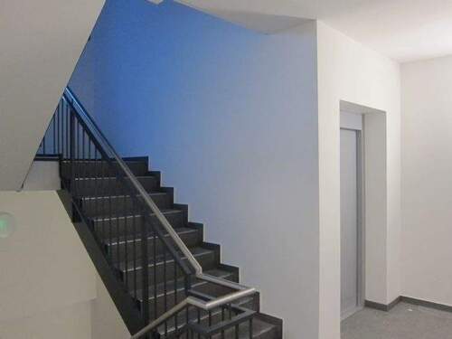 Modernes Treppenhaus mit Personenaufzug - 