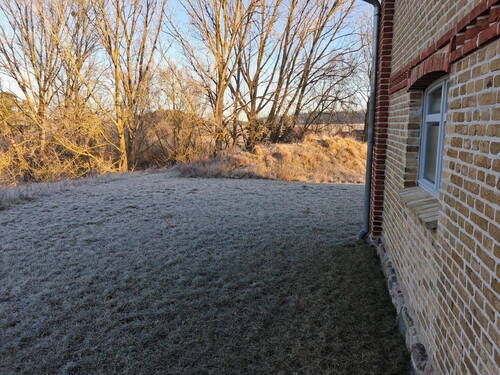 Blick in den Garten - 