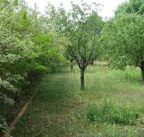 Großzügiges Baugrundstück in einer gewachsenen EFH Siedlung - Oranienburg