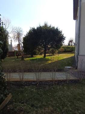 Garten - 