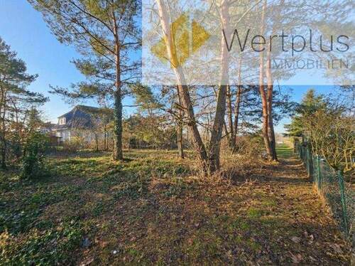 seitliche Ansicht des Baugrundstückes - Baugrundstück auf schöner Anhöhe im Wendland