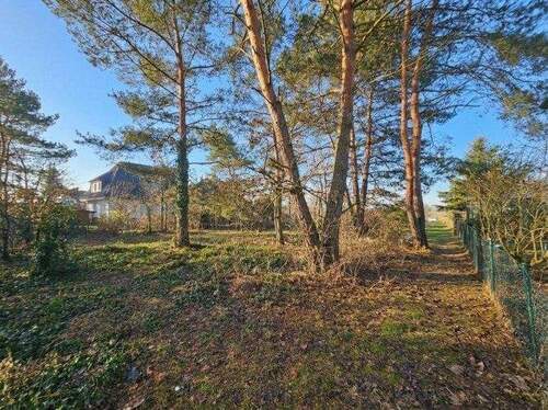 seitliche Ansicht des Baugrundstückes - Grundstück zum Kaufen in Bergen