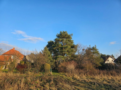 rückwärtige, uneinsehbare Ansicht - Grundstück in Bergen