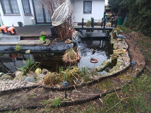 Teich Terrass - 