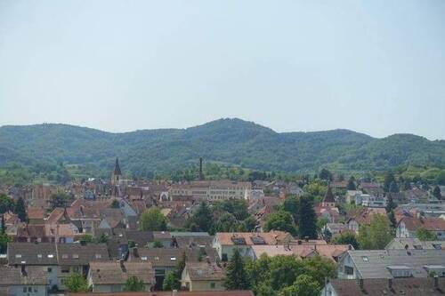 Aussicht über Endingen zum Katharinenberg - 