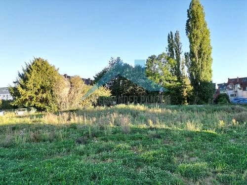 Impressionen vom Grundstück - 