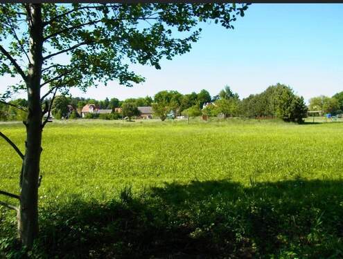 Grundstück - 1 Zimmer Bauernhaus, Landhaus zum Kaufen in Kleinzerlang