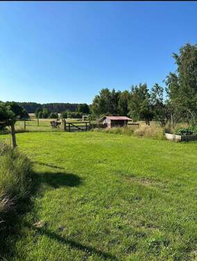 Koppel mit Unterständen - 