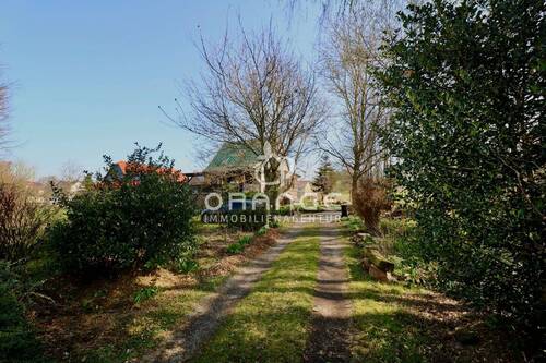 Auffahrt zum Grundstück - 