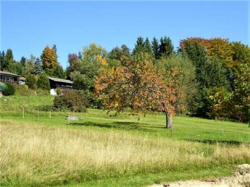 Bild 15 - 