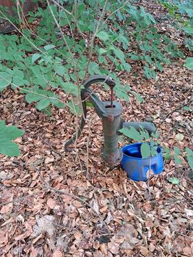 20250716_165447.jpg - 