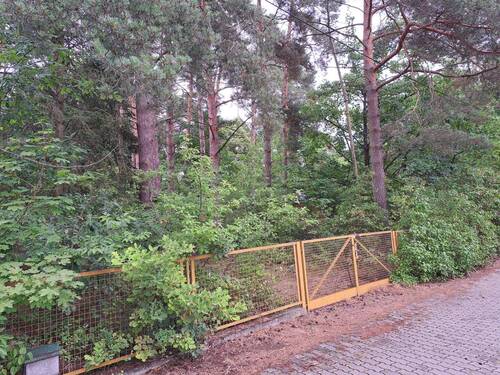 großes eingezäuntes Grundstück - 