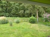 1000032432.jpg - Attraktives Grundstück mit Waldblick in Kiekebusch!!!