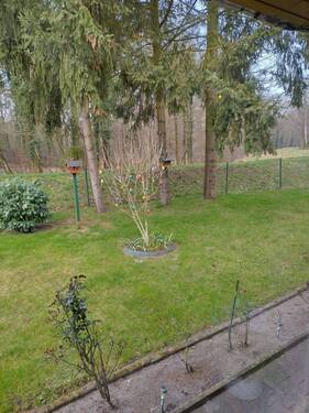 1000023916.jpg - Grundstück zum Kaufen in Cottbus