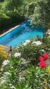 Blick auf den Pool I.jpg - 