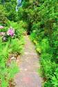 Gartenweg.JPG - 