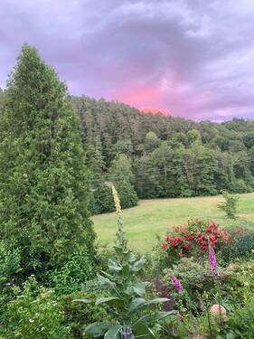 Ausblick.jpeg - 