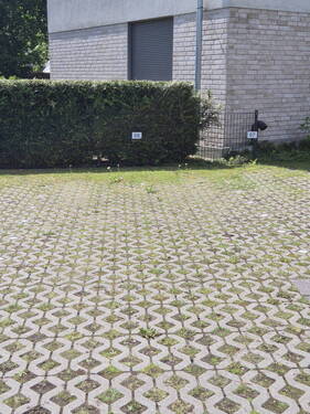 Außenstellplatz - 