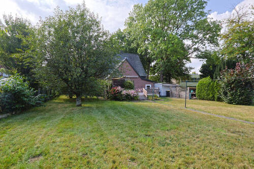 Bild5 - 