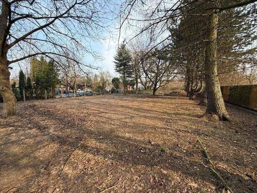 Bild 3 - Grundstück in Schwielowsee