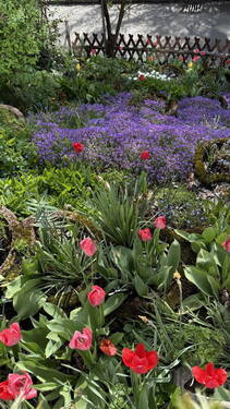 Blumenbeet - 