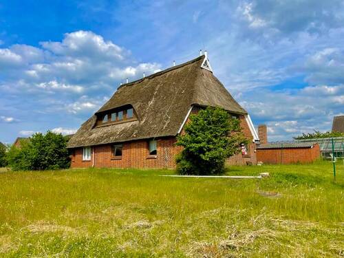 Reetdach - 