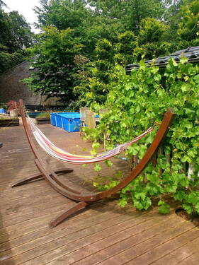 Terrasse - 