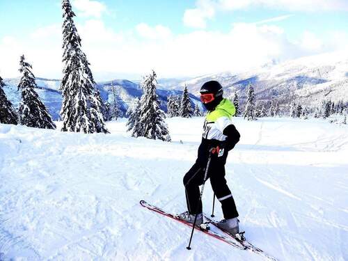 Skifahren im Winter - 