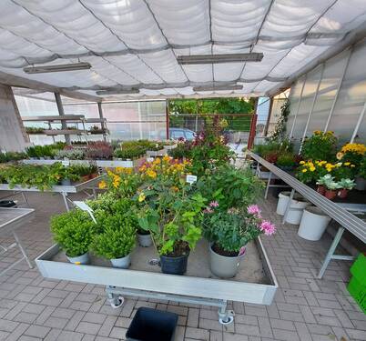 Verkaufsfläche - Grundstück in Königsee-Rottenbach